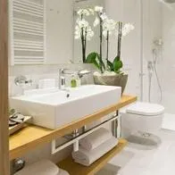 Foto de lavamanos, sanitario y ducha, en nota de cómo es el baño más extraño de un hotel: turista lo mostró y dividió opiniones
