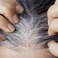 Este es el tinte casero para poder tapar las canas del cuero cabelludo