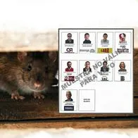 Propuestas de candidatos a la Alcaldía de Bogotá para controlar plaga de ratas