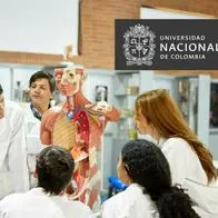 Requisitos para estudiar Medicina en la Universidad Nacional de Colombia