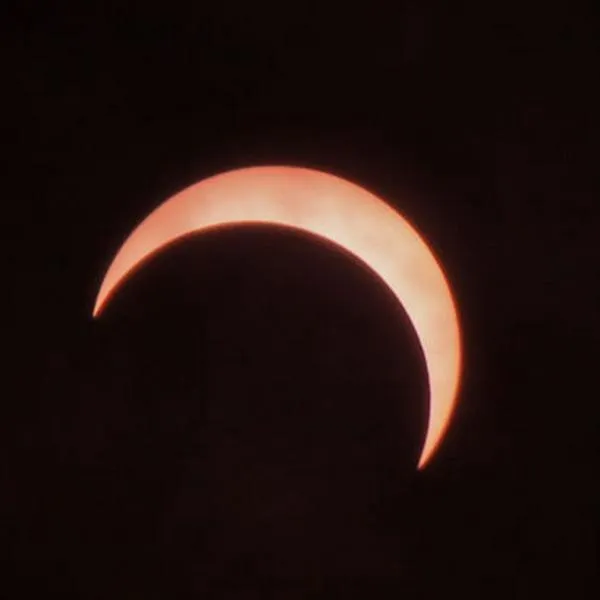 Eclipse solar tiene impacto en el ambiente por los cambios de temperatura y en los animales porque se confunden.