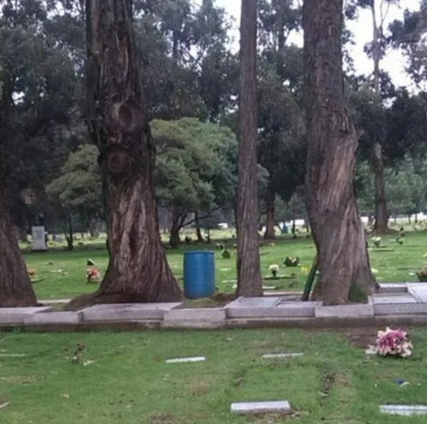 Niño murió en cementerio de Bogotá y su madre, entre lágrimas, explica qué fue lo que pasó. Ella dice que el menor se pegó contra una lápida y falleció. 