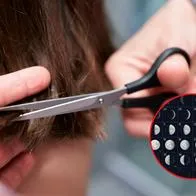 Días para cortarse el cabello en octubre en calendario lunar y eclipse solar