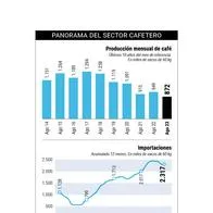 Baja producción, importaciones y desplome de precios: la crisis cafetera que está a punto de estallar