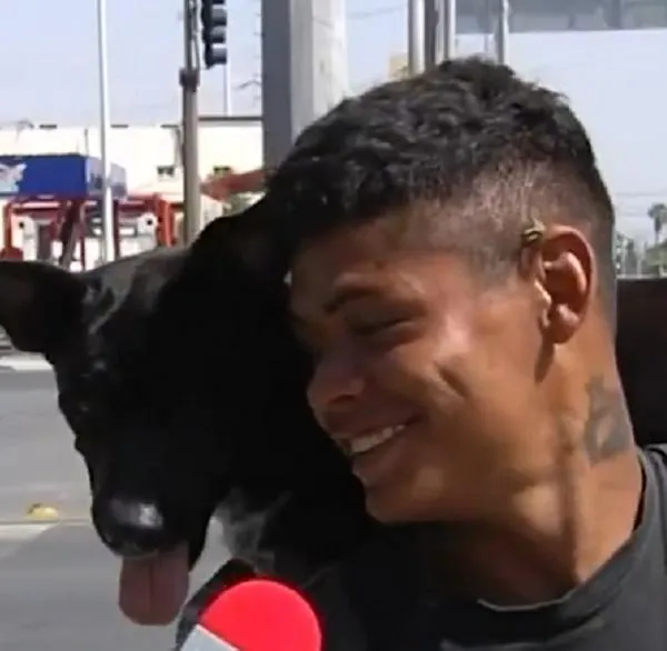 Mataron a perro de migrante colombiano en México en medio de atraco: historia es viral