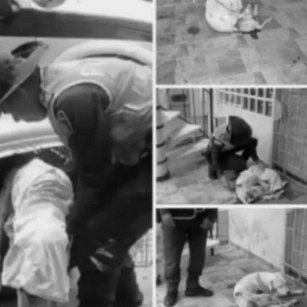 Joven en Cali hirió al perro de su casa luego de tener una pelea familiar