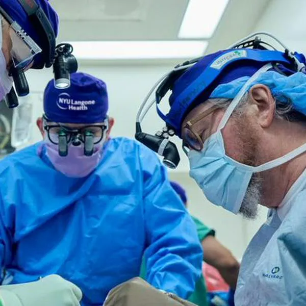 Un mono cumple dos años de haber recibido un trasplante del riñón de un cerdo