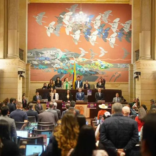 Reforma a la salud del presidente Gustavo Petro fue aprobada en un 50 % y después de las elecciones regionales de octubre se discutirá si es ley o no.