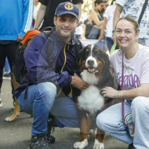 Juzgado reconoció por primera vez a un perro como miembro de una 'familia multiespecie'