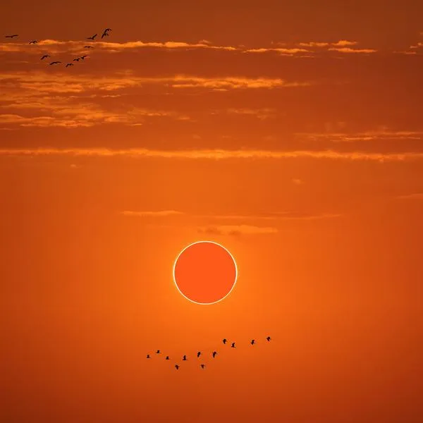 El eclipse en Bogotá y otras ciudades se podrá presenciar sobre el mediodía del sábado.