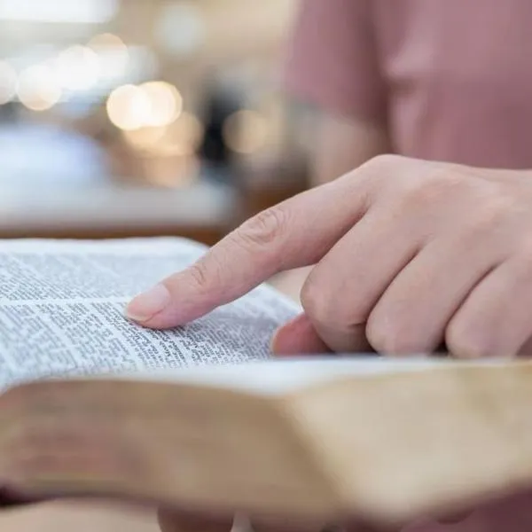 Viernes 13 Y La Biblia: Lo Que Dice El Libro Sagrado Sobre La Mala Suerte