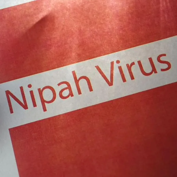 Virus Nipah en el mundo: cuántas enfermedades pasarían de animales a humanos