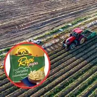 Quiénes son dueños de papas a la francesa McCain, que le distribuyen a D1, Burger King, KFC, McDonald's, entre otros.