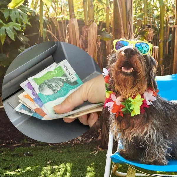 Conozca qué es el 'housesitting', la forma en la que miles de jóvenes viajan por el mundo con estadía gratis y hasta en lujosas casas.