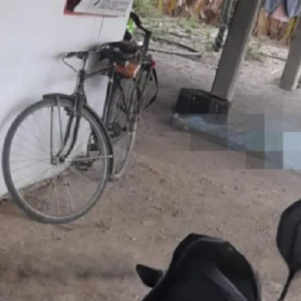 Don Alfonso y Jaime, los dos hombres asesinados en el Tolima: les dispararon en plena tienda