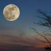 Luna Llena octubre 2023: ¿Cómo y cuándo ver la Luna del Cazador en Colombia?