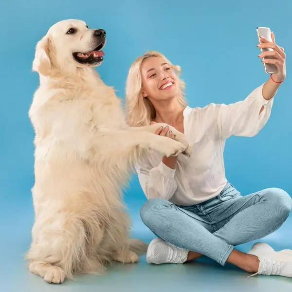 La facilidad de adiestramiento de las razas de perros se debe a una combinación de factores que incluyen la genética, la historia y las características de la raza.