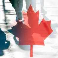 Bandera de Canadá. En relación con migrantes.