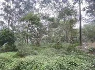 Autoridades hallaron dos bolsas con restos humanos en un bosque de Medellín