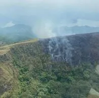 Incendio forestal azotó zona rural de Purificación