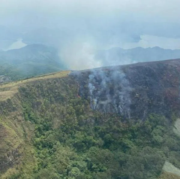 Incendio forestal azotó zona rural de Purificación