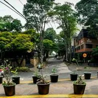 El alcalde de Cali, Jorge Iván Ospina, podría reversar proyecto de peatonalización en el Parque del Perro con materas. Se perdería más de $ 1.000 millones.