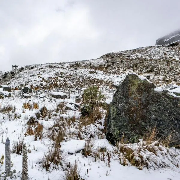 Destino de nieve más cercano a Bogotá y cuánto cuesta visitarlo