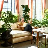 ¿Cuáles son las plantas de interior más fáciles de mantener? 3 opciones ideales para quienes no tienen mucho tiempo o experiencia.