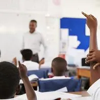 Siga los pasos para renovar la matrícula escolar de 2024 en los colegios y conozca los beneficios que trae el programa.