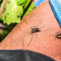 Dengue cobra la vida de una sexta persona en Santander