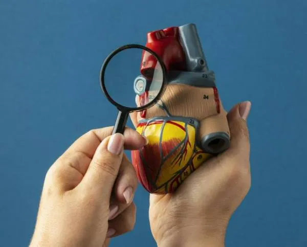 Amiloidosis cardíaca: ¿de qué se trata la cardiopatía que vuelve al corazón rígido?