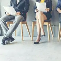 Convocatoria abierta para contadores, ingenieros, abogados y más: conozca los detalles