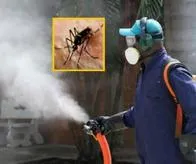 Alerta en Nariño: casos de dengue van en aumento y ya van más de 1300 contagios