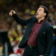 Sebastián Gómez estaría en los planes de Néstor Lorenzo para ser convocado de la Selección Colombia.