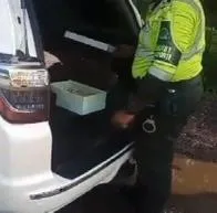 Capturan a hombre con 110 millones de pesos metidos en cajas de zapatos.