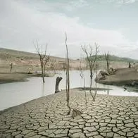 Calentamiento global: informe dice que temperatura seguirá en aumento