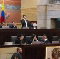 La reforma laboral del presidente Gustavo Petro vuelve a debatirse en el Congreso este miércoles 1 de noviembre. Podría quedar aprobada esta semana.