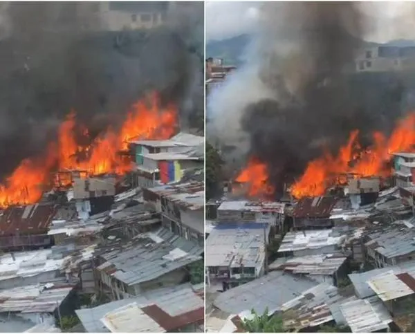 Voraz incendio en Pereira destruyó varias viviendas; animales fueron atendidos