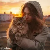 Estas son las recomendaciones adecuadas para que su gato sea un poco más cariñoso con usted y con las demás personas.