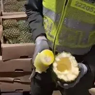 En piñas falsas pretendían enviar cocaína a España desde el Puerto de Cartagena