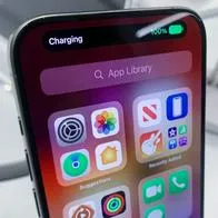 Calentamiento, descarga rápida y más son síntomas de cambiar la batería.