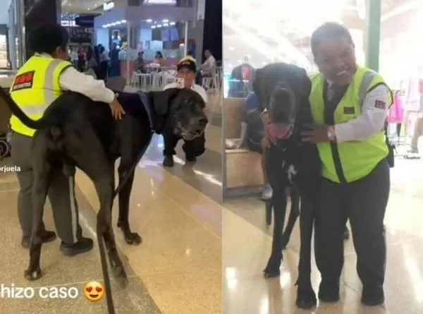 Ibagué: celadora es viral por perro más que ella en centro comercial
