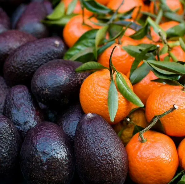 El aguacate es una fruta más saludable que la naranja para el cuerpo, según una investigación de Mayo Clinic. La naranja es rica en vitamina C.