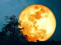 Luna de Castor noviembre 2023: significado, fecha y cómo verla desde Colombia