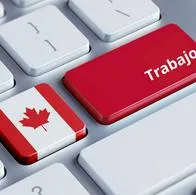 Canadá: cuál es el permiso para trabajar en ese país: cómo se saca y cuánto vale