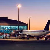 Aeropuerto El Dorado tiene nuevo beneficio para amantes de las mascotas