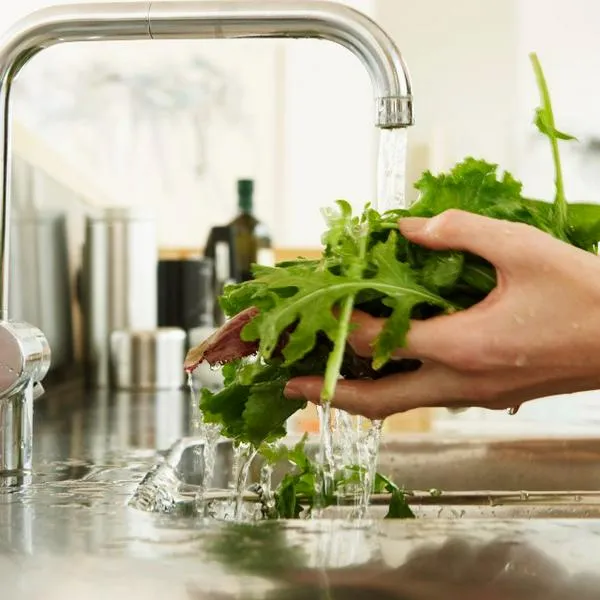 La lechuga tiene un alto contenido de agua, lo que la convierte en una excelente opción para mantenerse hidratado.