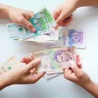 Pirámide Ganadera El Paraíso: nuevos detalles de estafa de $100.000 millones
