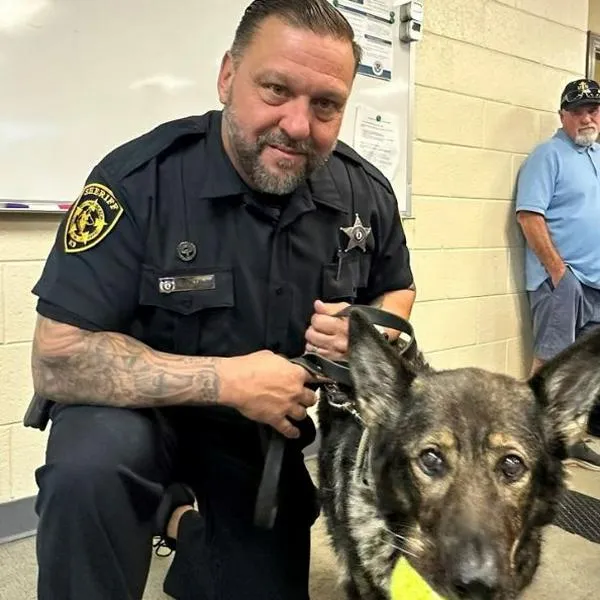 En Estados Unidos, una perra antinarcóticos de 11 años falleció 4 días después de jubilarse de la policía.