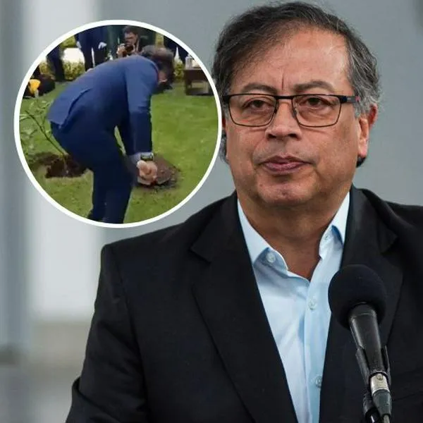 Fotos de Gustavo Petro, en nota de burlas contra el mandatario por árbol que sembró le cobraron incapacidad médica